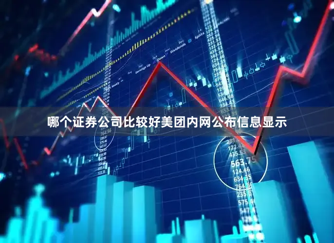 哪个证券公司比较好美团内网公布信息显示